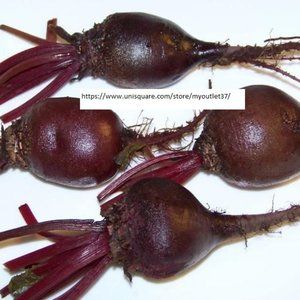 Dark Red Beet Seeds - Vegetable Seeds - BOGO